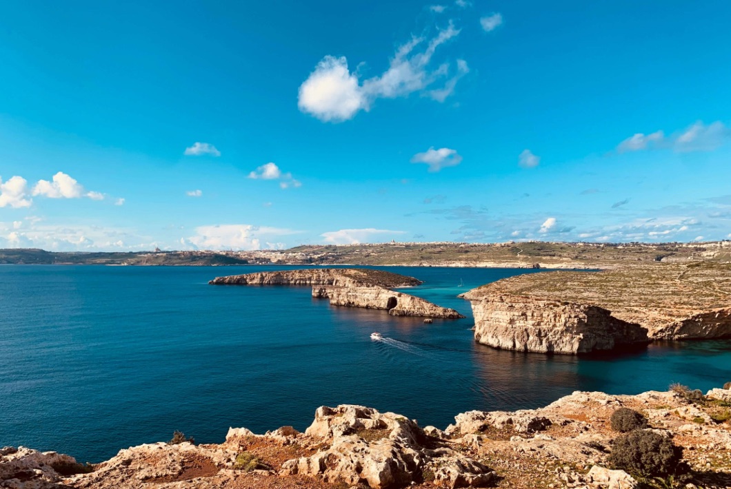 Photo by Alexis Careaga via Unsplash
