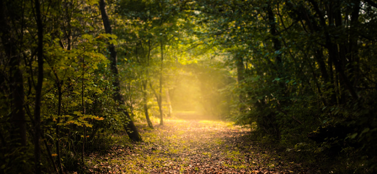 Photo by Adrien Tutin on Unsplash