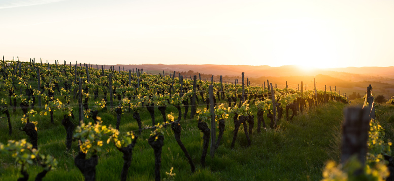 Photo by Boudewijn “Bo” Boer on Unsplash