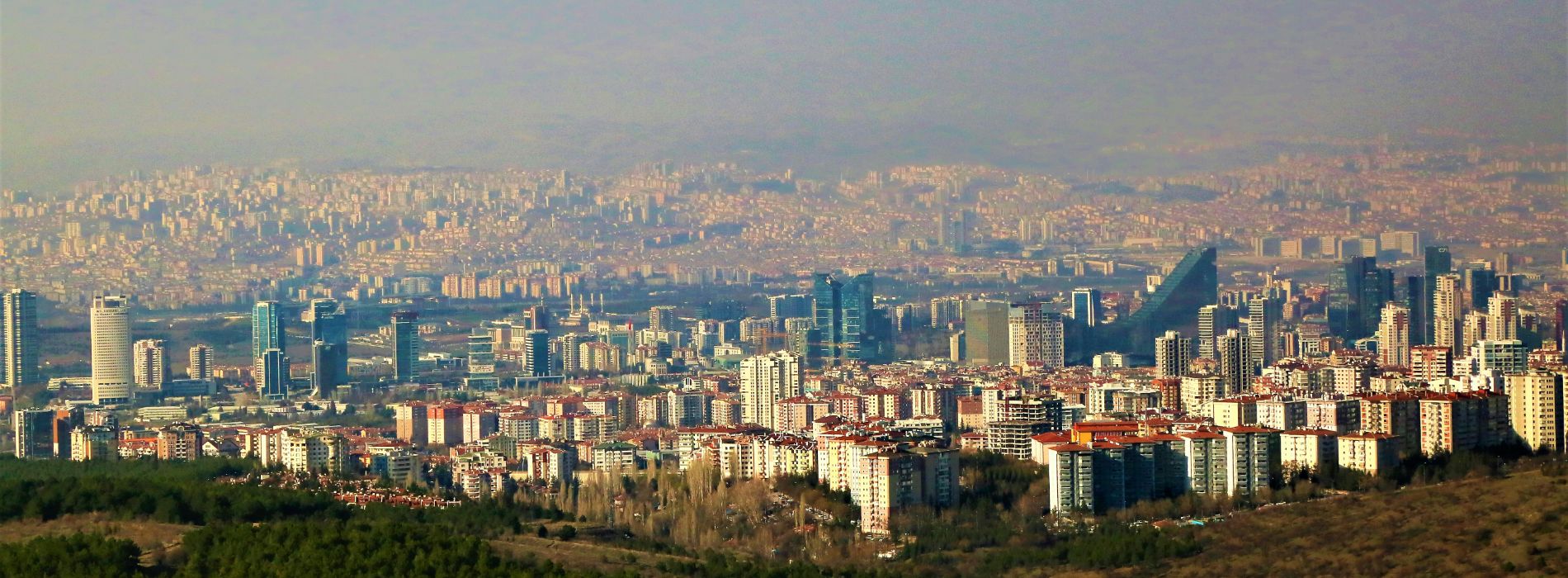 blog-image