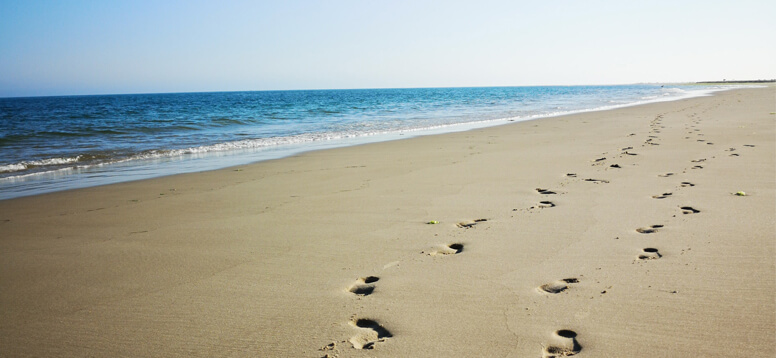 The Best Portuguese Islands You Must Visit image