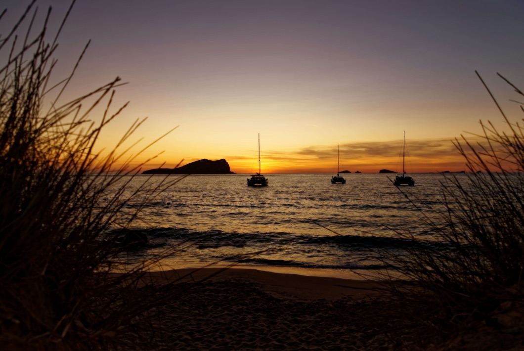 Photo by Alex Kulikov via Unsplash