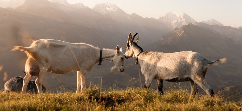 Photo by Yoann Donzé on Unsplash