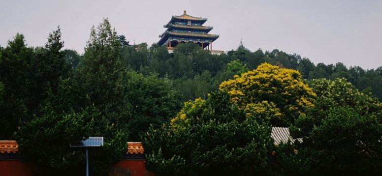 Photo by Linda Yuan on Unsplash