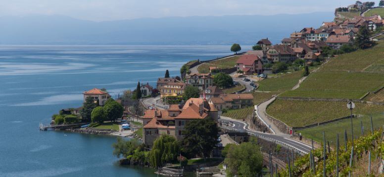 blog-image
