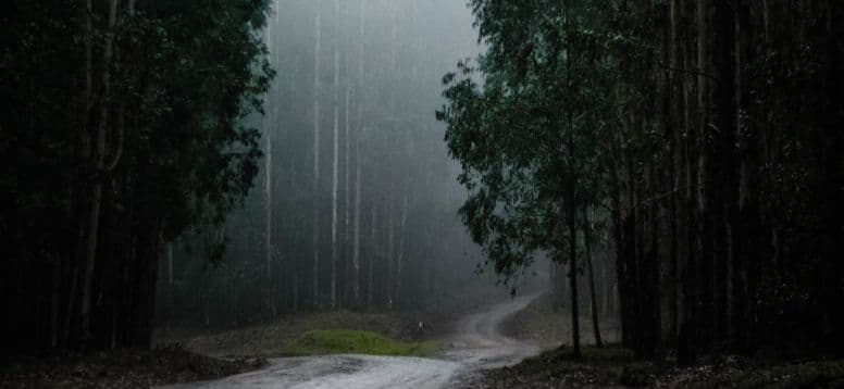 Photo par Halanna Halila sur Unsplash
