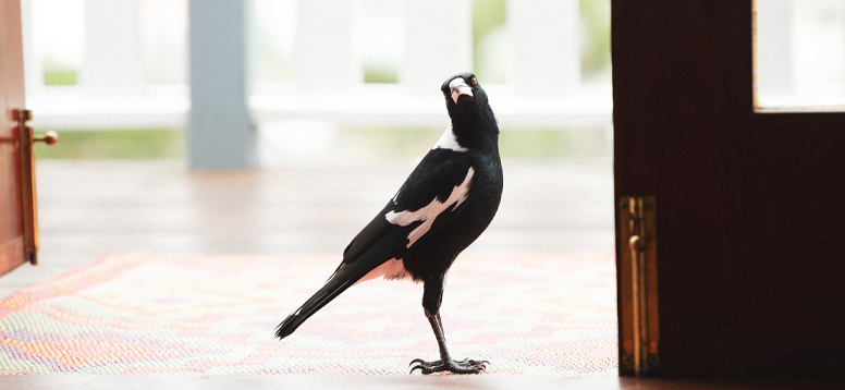 Photo by&nbsp;Caroline Attwood on&nbsp;Unsplash&nbsp;