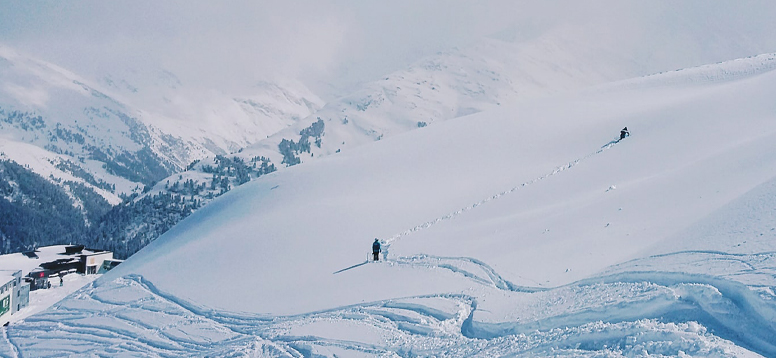 Foto von Naomi Hutchinson auf Unsplash&nbsp;