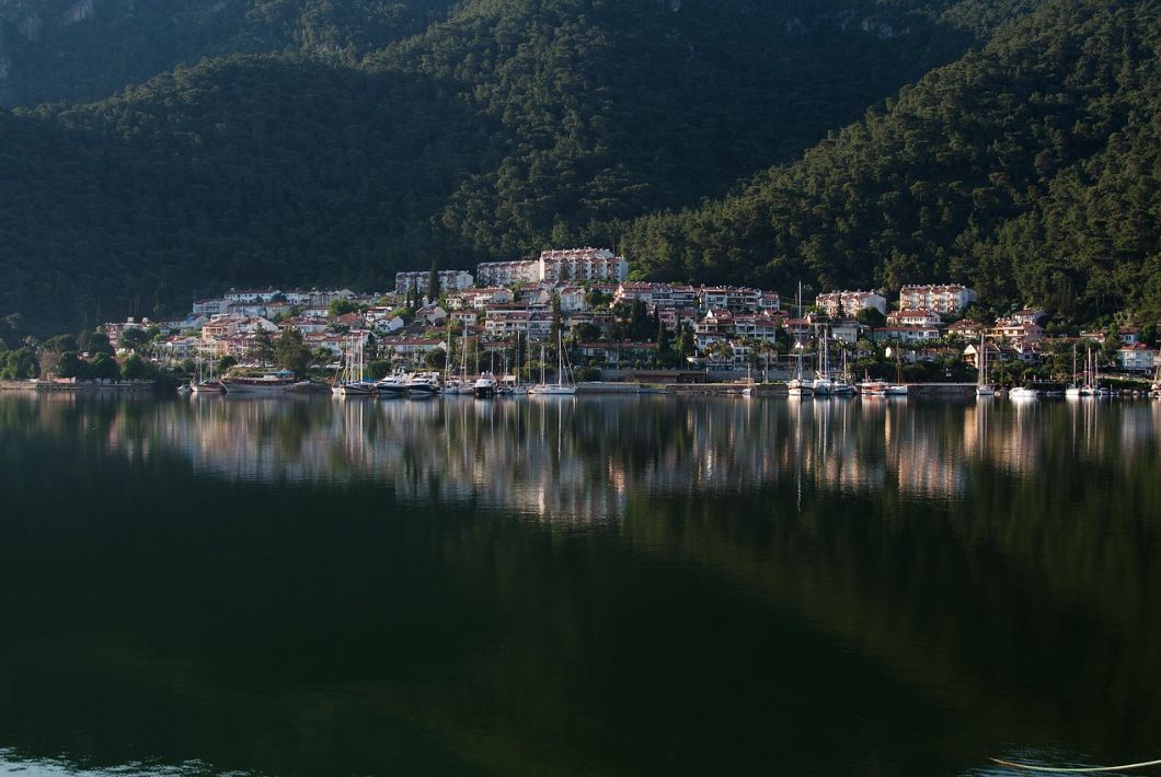 Image by&nbsp;Gürkan Eker&nbsp;from&nbsp;Pixabay